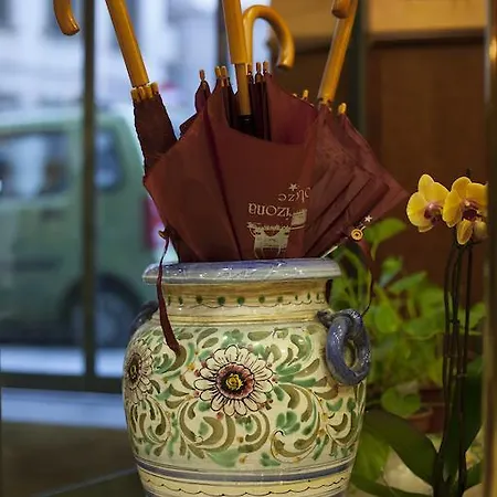 Arizona فلورنس